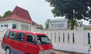 IMG-20251114-WA0086(1)