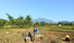 IMG-20260719-WA0017